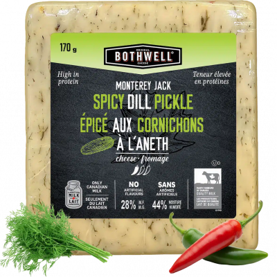 Bothwell Spicy Dill Pickle Monterey Jack Cheese All Products Cheese
